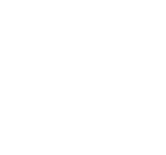 PNL Logo White