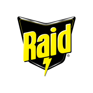 Raid