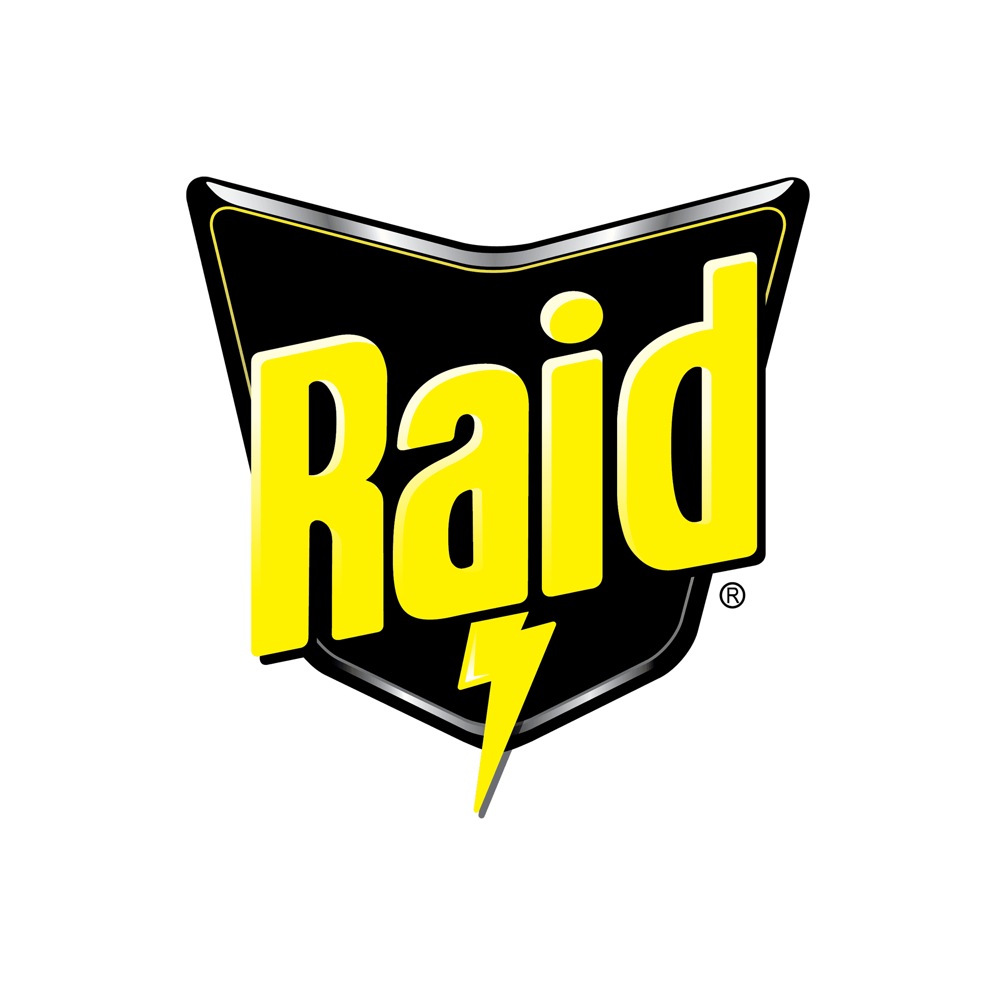 Raid Logo